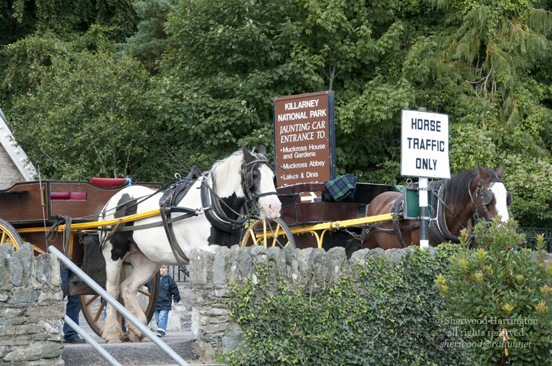 Eire2010-426