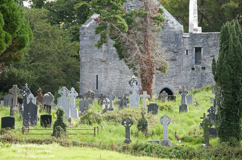 Eire2010-429