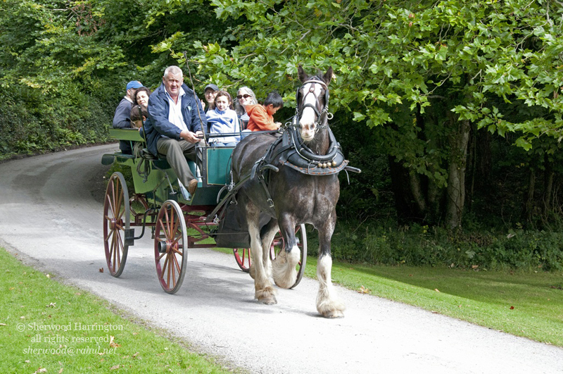 Eire2010-430