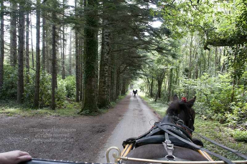 Eire2010-432