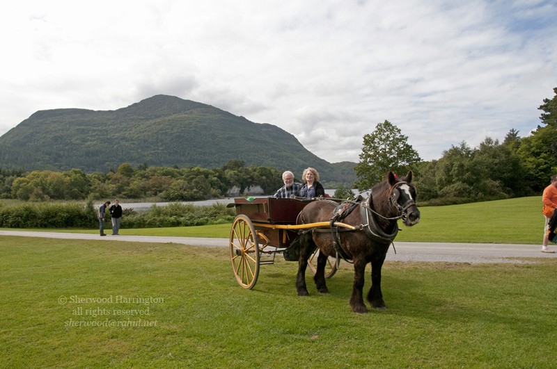 Eire2010-433