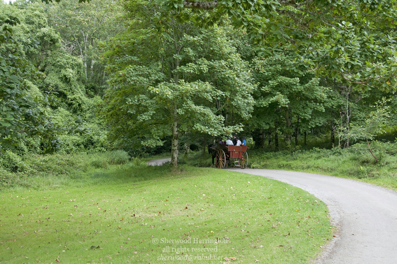 Eire2010-436