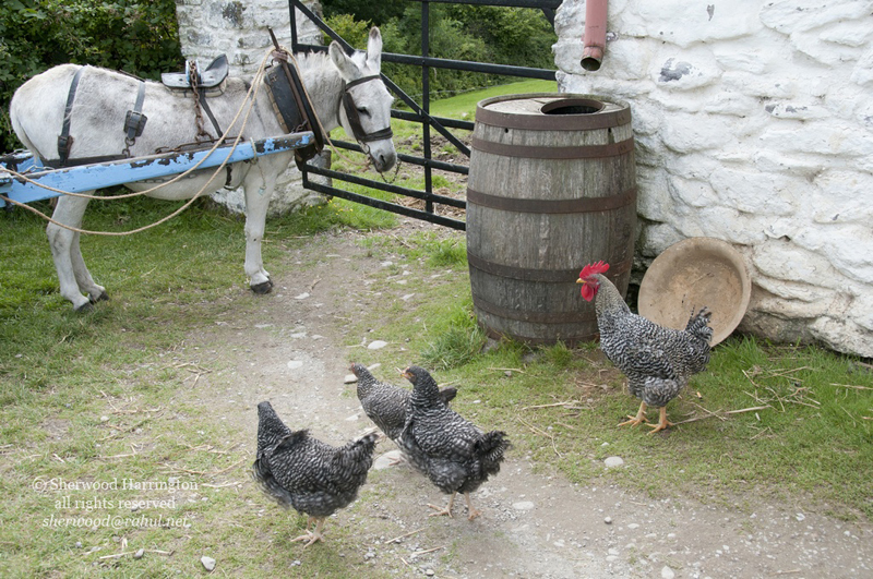 Eire2010-437