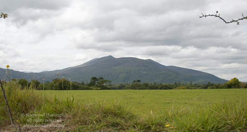 Eire2010-442