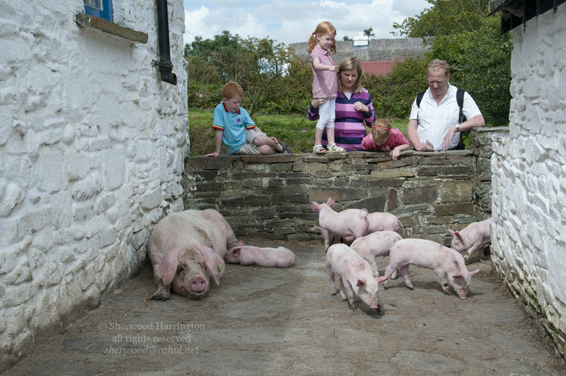 Eire2010-444