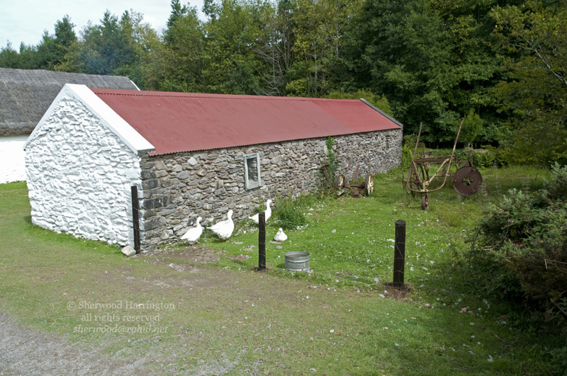 Eire2010-445