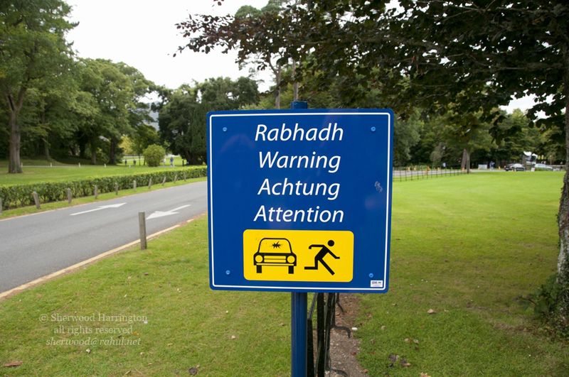 Eire2010-460