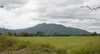 Eire2010-442