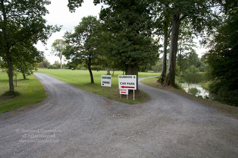Eire2010-469