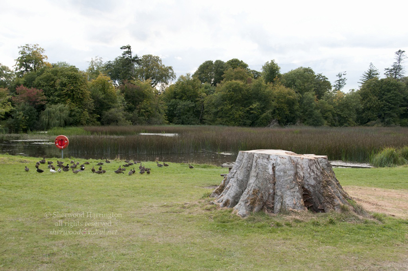 Eire2010-476