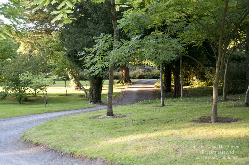Eire2010-485