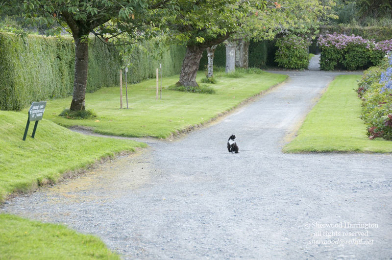 Eire2010-488