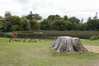 Eire2010-476