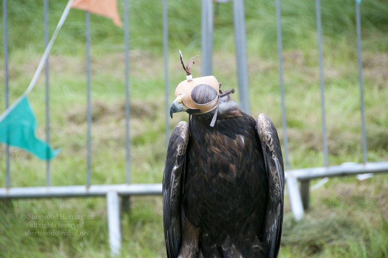 Eire2010-493