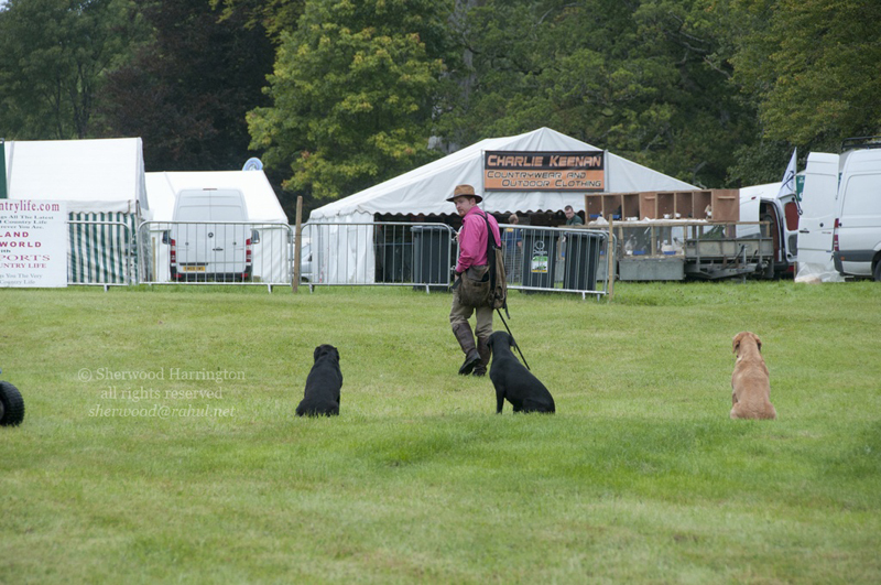 Eire2010-496