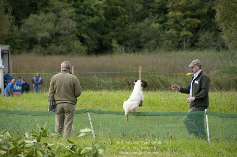 Eire2010-498