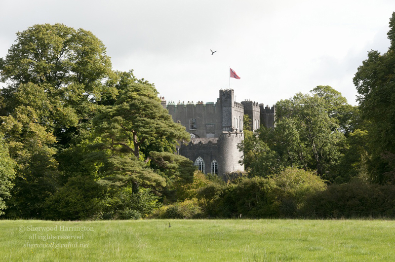 Eire2010-502