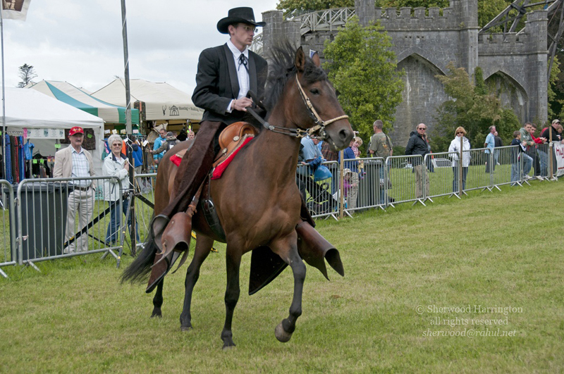 Eire2010-504