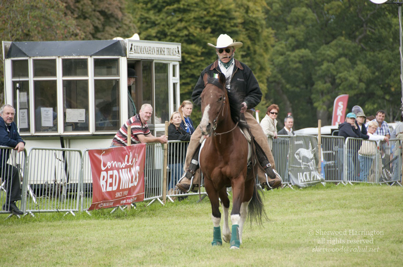 Eire2010-505