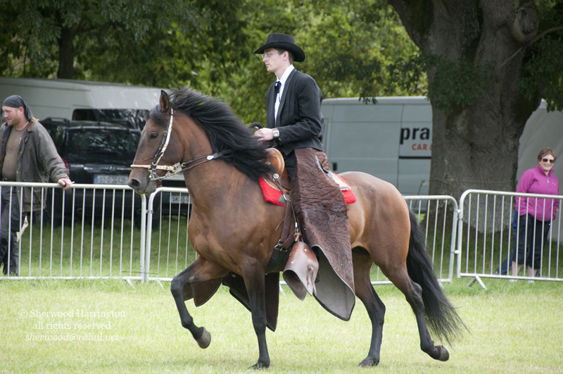 Eire2010-506