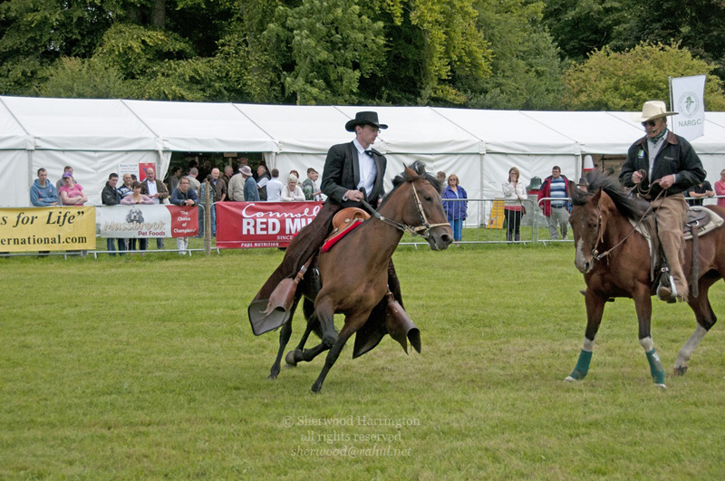 Eire2010-507