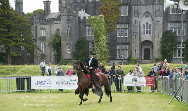 Eire2010-508