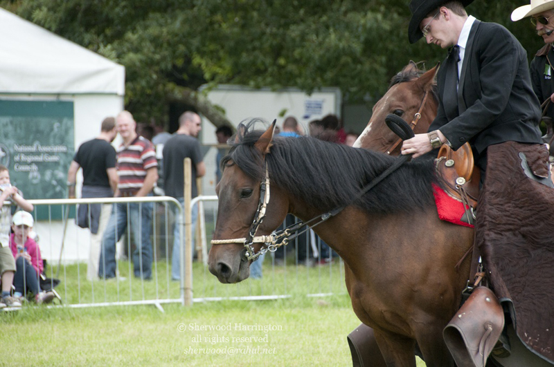 Eire2010-509