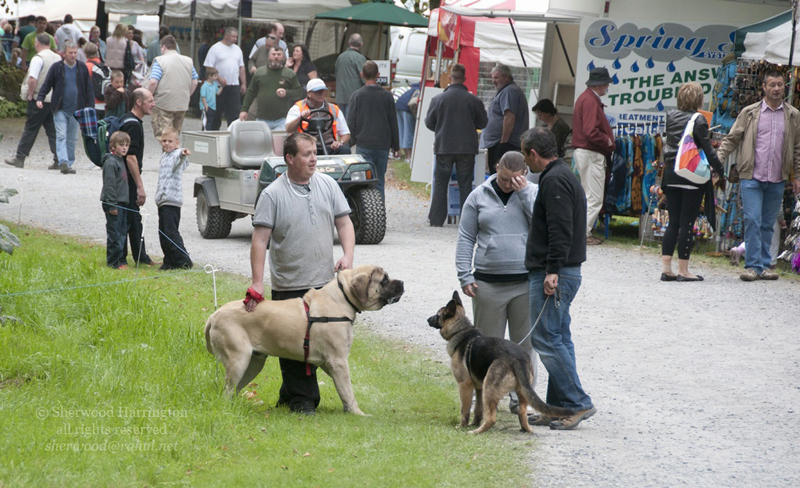 Eire2010-511