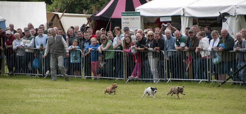 Eire2010-512