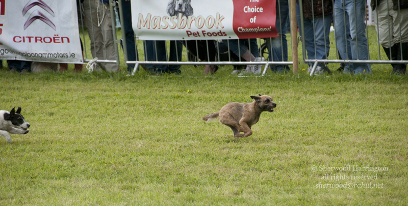 Eire2010-513