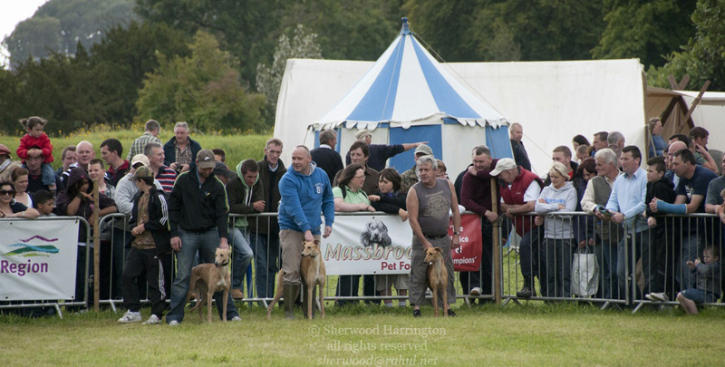 Eire2010-514
