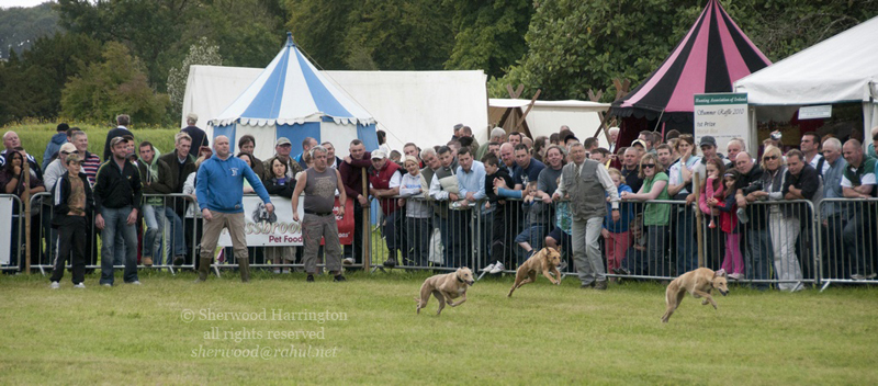 Eire2010-515