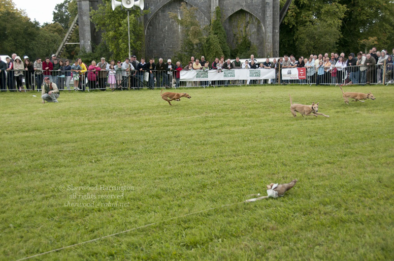 Eire2010-516