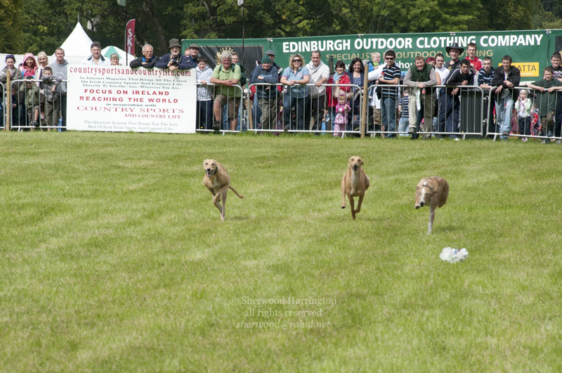 Eire2010-519
