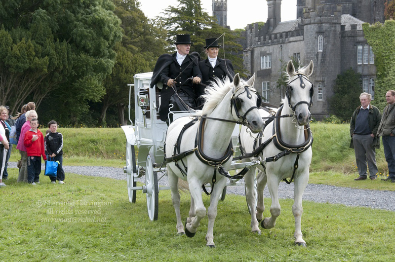 Eire2010-524