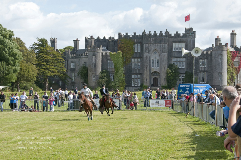 Eire2010-531