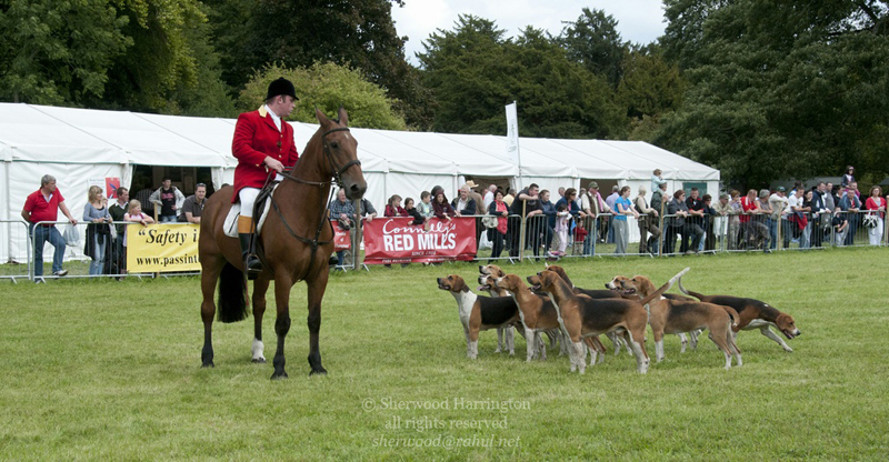 Eire2010-534
