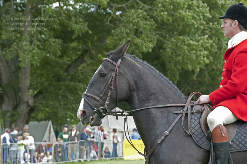 Eire2010-535