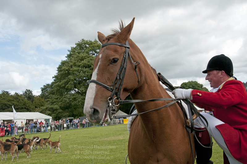 Eire2010-536