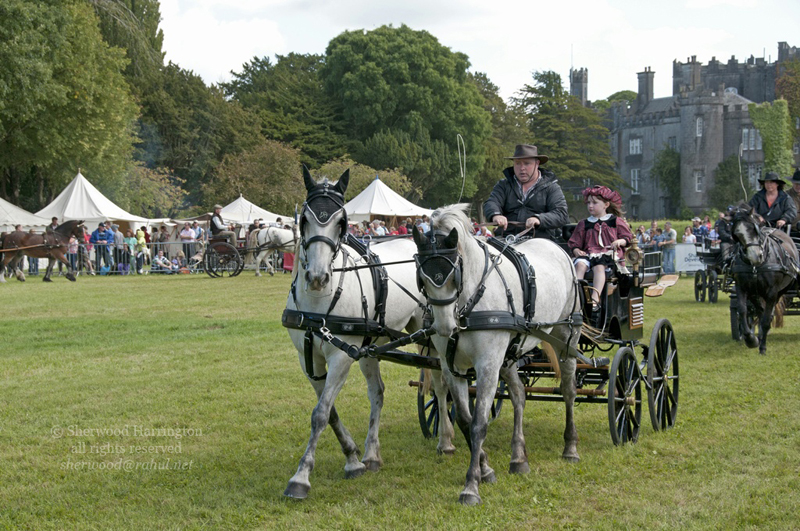 Eire2010-539