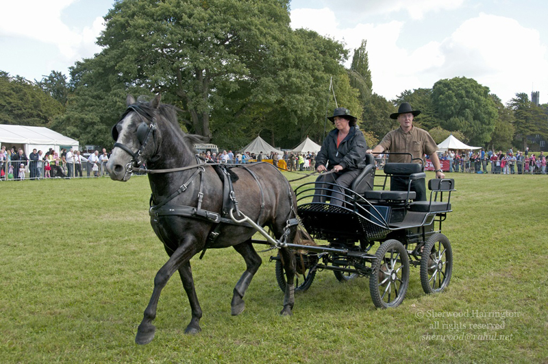 Eire2010-540
