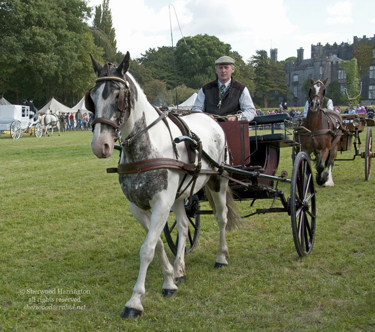 Eire2010-541