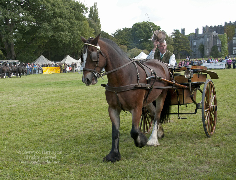 Eire2010-542