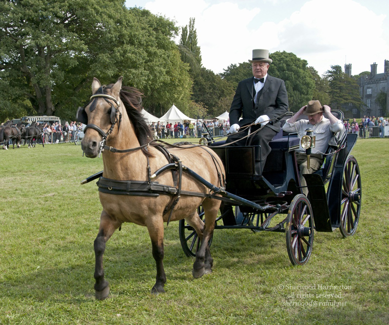 Eire2010-543
