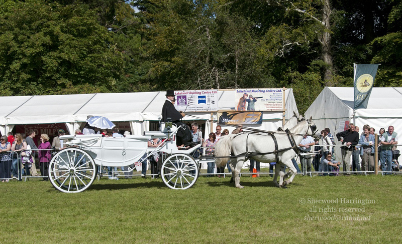 Eire2010-545