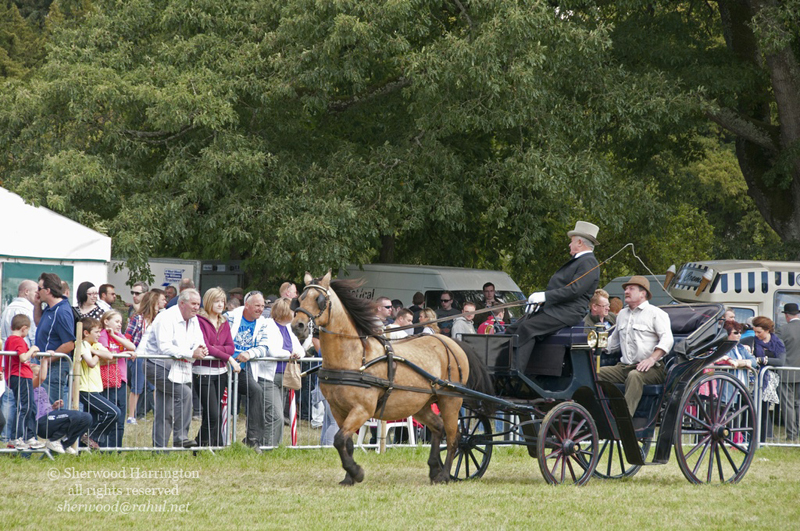 Eire2010-546