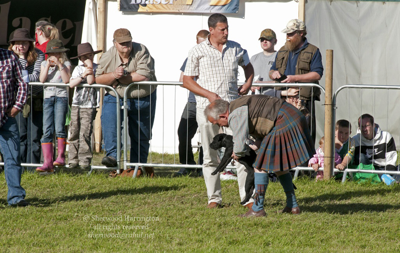 Eire2010-547