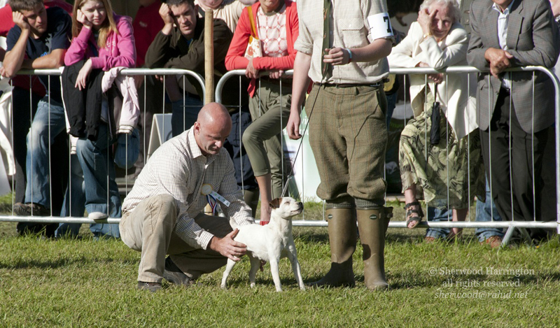 Eire2010-548
