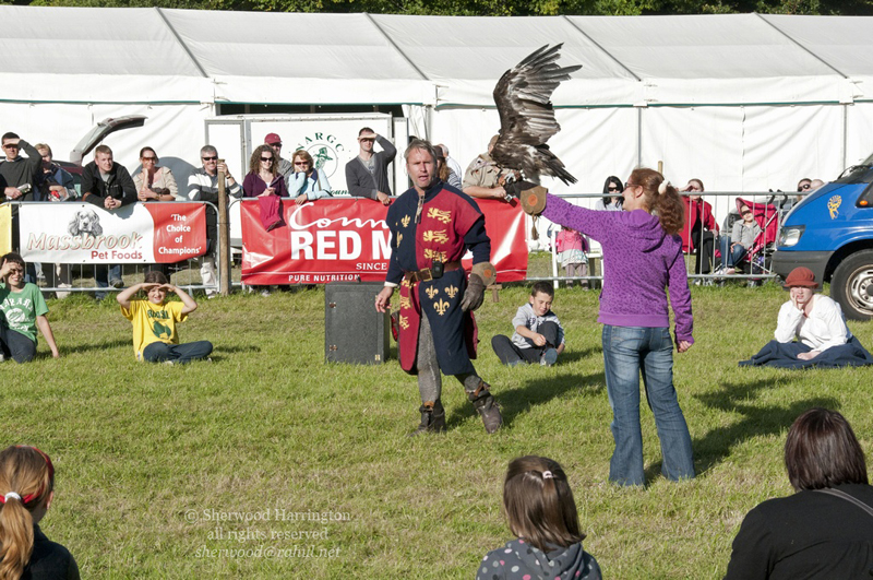 Eire2010-552