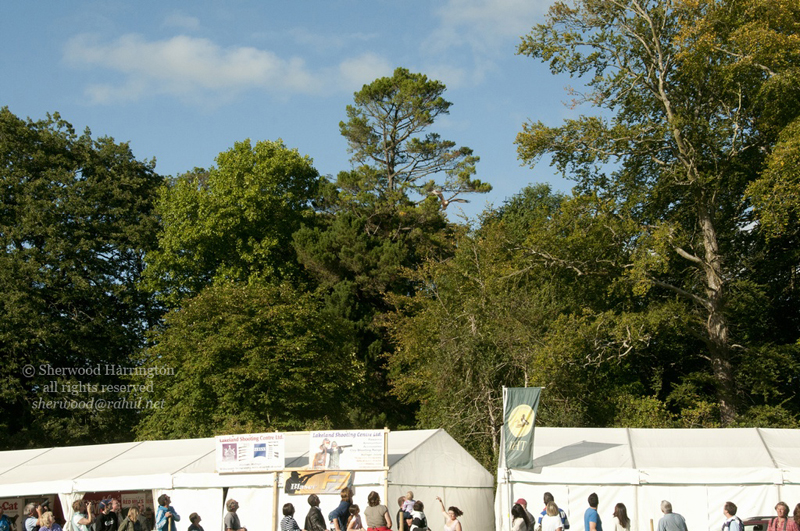 Eire2010-554